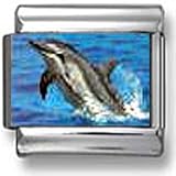 Dolphin Italian charm