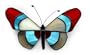 Glass wall adornment, 'Butterfly from Puno'