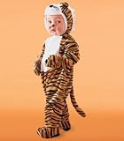 stripes the tiger child costume