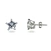 Eve's Addiction Sterling Silver Diamond Cubic Zirconia Star Stud Earrings