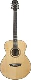 Wahsburn WD20 Series WMJ20S Acoustic Guitar