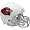 NFL Pro Line Helmet (EA)