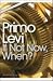 Books : If Not Now, When? (Penguin Modern Classics)