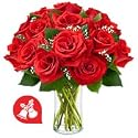 Roses - Lady In Red(Christmas offer: Free Shipping)