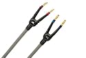 Monster Ultra Series THX 1000 Speaker Cable with Monster Tips for Center Channel 10 ft. single Speaker Cable (ULT S1000MTC-10)