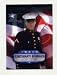 2008 Topps Armed Forces Fans of the Game #AFF-JL James A. Lenihan - Cincinnati Bengals (Lance Corporal U.S. Marine Corps Reserve) (Football Cards)