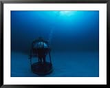 An Aquanaut Gets a Better View in an Air-Filled Rest Station Sports Framed Art Poster Print by Brian J. Skerry, 39x31