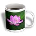 Flowers - lotus - Mugs
