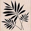 Three Ferns by Hero Arts