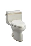 KOHLER K-14345-WF-96 Prairie Flowers Design on Gabrielle Comfort Height One-Piece Elongated Toilet, Biscuit