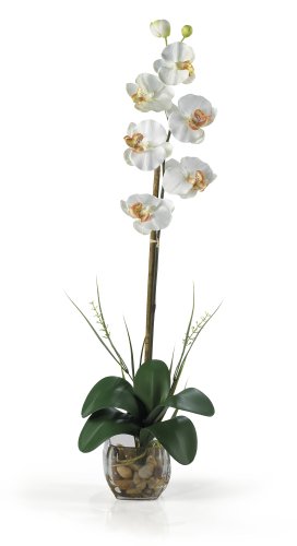Silk Orchid Artificial Flower Arrangement – Single Phalaenopsis Liquid Illusion-Cream
