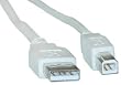 USB Type A Male / Type B Male Cable, 2.0 Version, 3 ft