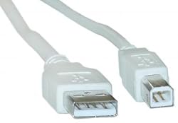 USB Type A Male / Type B Male Cable, 2.0 Version, 6 ft