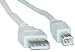 USB Type A Male / Type B Male Cable, 2.0 Version, 6 ft