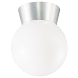 Westinghouse 6798000 1-Light Flush-Mount Exterior Fixture, Brushed Aluminum Finish on Cast Aluminum with White Glass Globe
