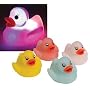 Schylling - Small Touch Light Duck - Assorted Colors