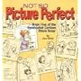 Not So Picture Perfect : Book Five of the Syndicated Cartoon Stone Soup