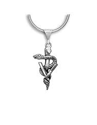 Sterling Silver Large Veterinary Caduceus Pendant by The Magic Zoo