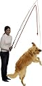 Karlie 47450 Hundeangel Dog Dangler mit Latexspielzeug, 49-165 cm