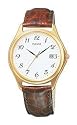 Pulsar Men's Watch #PXD122S