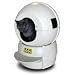 Pet Supplies : Litter-Robot Self Cleaning Litter Box - Beige
