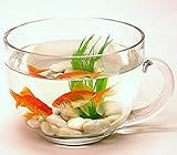 Teacup Fish Bowl