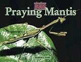 Bugs - Praying Mantis (Bugs)