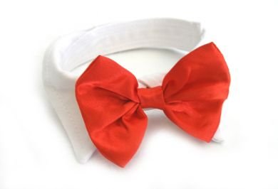 Dog Bow Tie Wedding Collar - Red Satin, Small (Neck 11-13