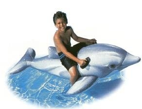 Dolphin Ride On