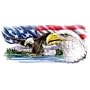 Eagle W/ Amer Flag Womens Scoop Neck T-Shirt
