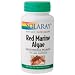 Red Marine Algae, or Dulse, has been used by people as a food staple for thousands of years. Often referred to as a sea vegetable, research has shown that the sulfated polysaccharides in Red Marine Algae may provide nutritional support for immune health.