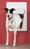 PetSafe Electronic Smart Door