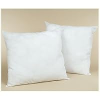 Set of Two Feather/Down EURO 26x26 Pillow Form 3.2 Pounds each