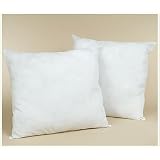 Set of Two Feather/Down EURO Pillow Form Cushion by Natural Comfort