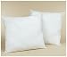 Set of Two Feather/Down EURO 26x26 Pillow Form 3.2 Pounds each