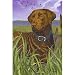 labrador14 - Chocolate Labrador House Flag by GR8 Dogs Multi