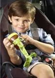 NoThrow  Cup and Bottle Holder