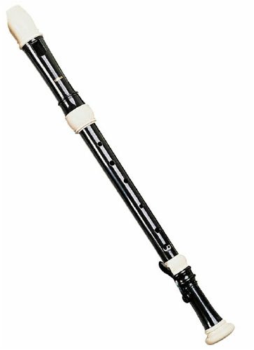 Childrens Toyshop  Musical Instruments : Yamaha YRA-302B Alto Recorder with Bag