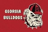 Georgia Bulldogs Red 2' 8x 3' 10 Team Spirit Area Rug