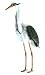 Hansa Great Blue Heron, 25.5 High