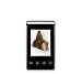 AgfaPhoto AC8131D - Digitaler Fotorahmen - 8.9cm/3.5"