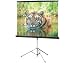 Draper Consul - Projection screen with tripod - 1:1 - Glass Beaded