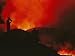 Nyamuragira Volcano Erupting Photographic Poster Print by Chris Johns, 12x9