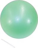 Set of 4 10 Inflatable Soft Funball