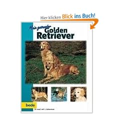 Mein gesunder Golden Retriever