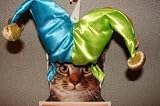 Jester Hat - Cat Costume