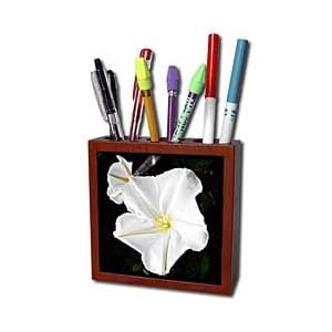 WhiteOak Photography Floral Prints - Moonflower White Flower - Tile Pen Holders-5 inch tile pen holder