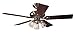 Hunter 20544 Summer Breeze Plus Three-Light 52-Inch Five-Blade Ceiling Fan, Bright with Clear Globes