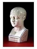 A Porcelain Phrenology Head, 19th Century Fine Art Giclee Poster Print, 12x16
