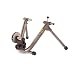 CycleOps Mag Indoor Bicycle Trainer